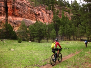 bike image4